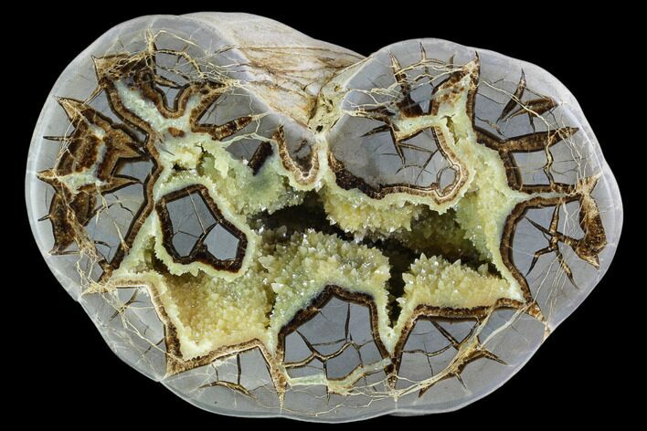 Polished Septarian Nodule (Half) - Utah #104811